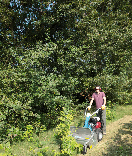 Malčer Bertolini BTS 65 3