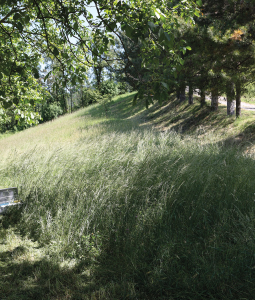 Malčer Bertolini BTS 80 2