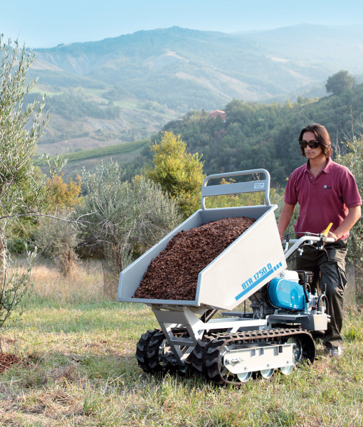 Transportna kolica Bertolini BTR 1750 3