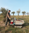 Transportna kolica Bertolini BTR 1750 4