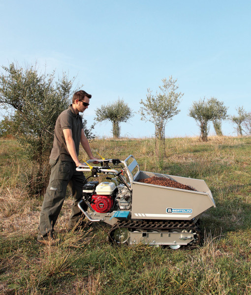 Transportna kolica Bertolini BTR 1750 4